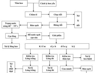 DÂY CHUYỀN GIẾT MỔ HEO