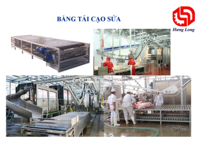 BĂNG TẢI CẠO SỬA HEO