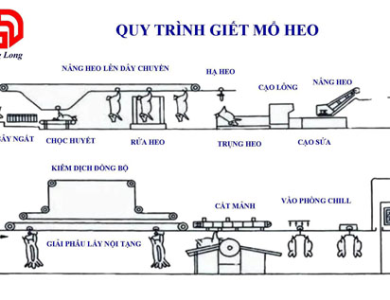 DÂY CHUYỀN GIẾT MỔ HEO