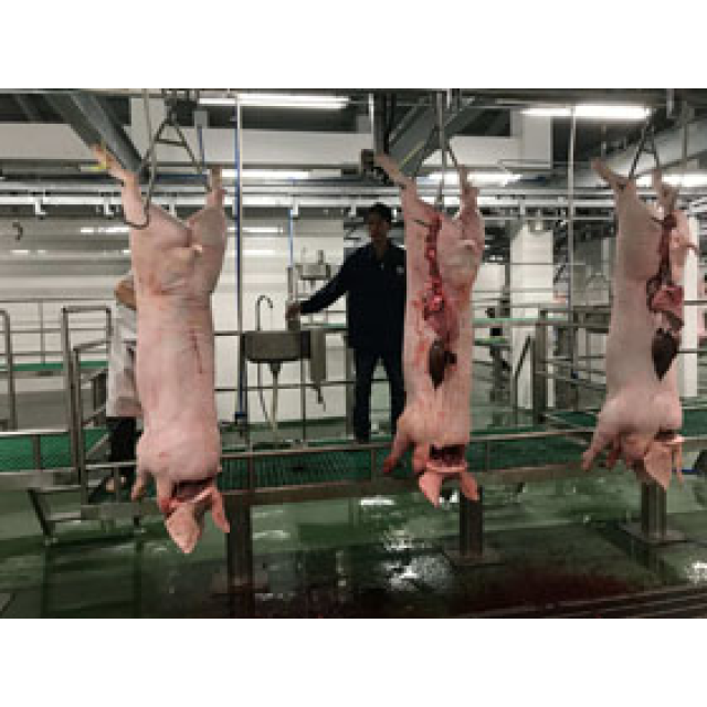 DÂY CHUYỀN GIẾT MỔ HEO