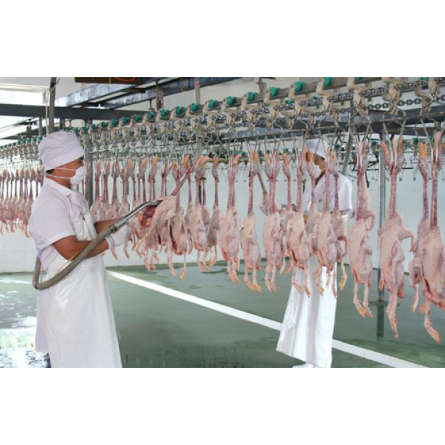 CÔNG NGHỆ GIẾT MỔ VỊT