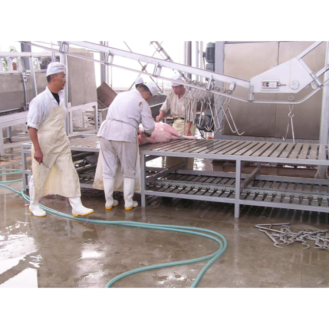 BĂNG TẢI CẠO SỬA HEO