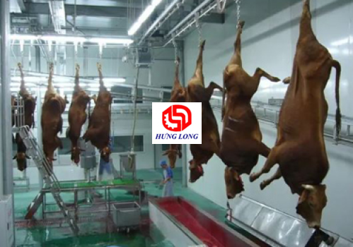 DÂY CHUYỀN GIẾT MỔ BÒ