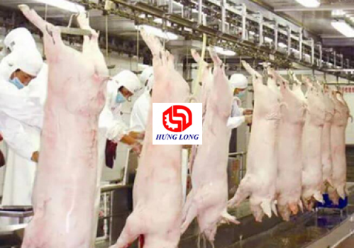 KỶ NGHỆ GIẾT MỔ HEO