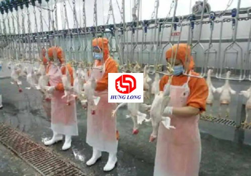 DÂY CHUYỀN GIẾT MỔ GÀ