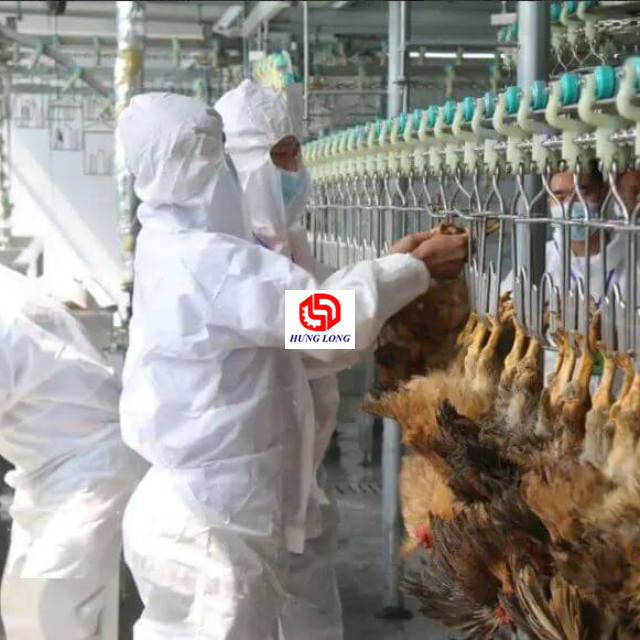 DÂY CHUYỀN GIẾT MỔ GÀ PHẦN II