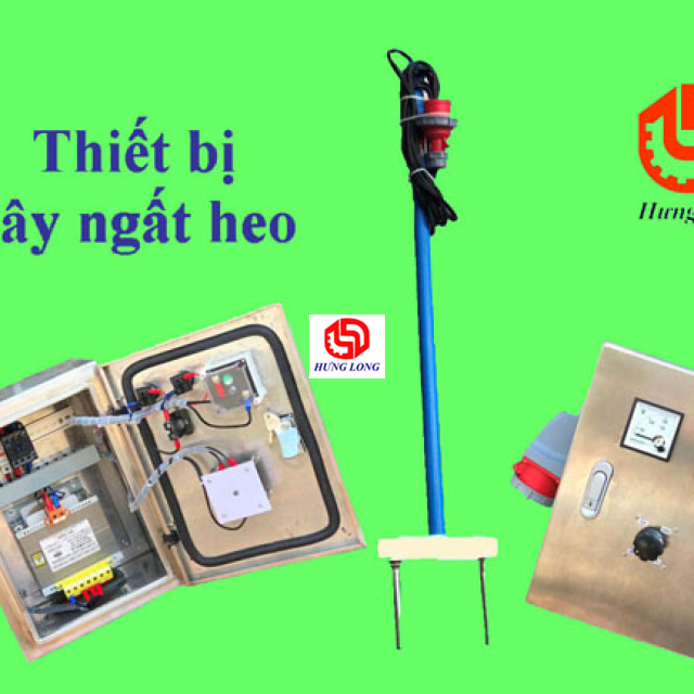 MÁY GÂY NGẤT HEO