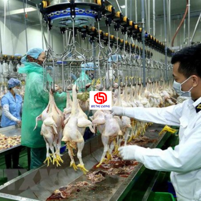DÂY CHUYỀN GIẾT MỔ GÀ PHẦN I